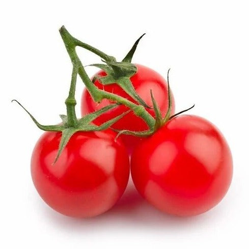 Garden Book Cherry Tomatoes (چیری ٹماٹر) 10 Seeds