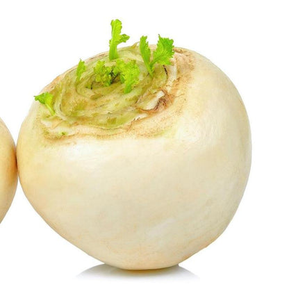 White Turnip 30+ Seeds