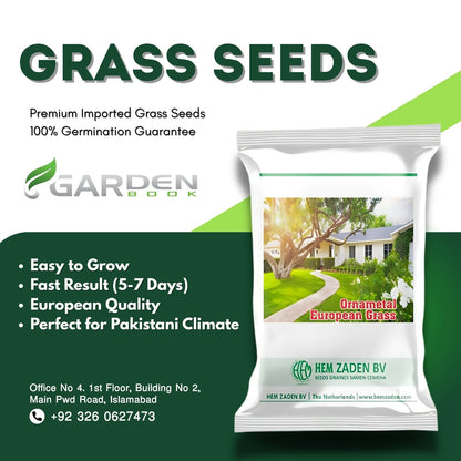 Imported European All Season Grass Seeds