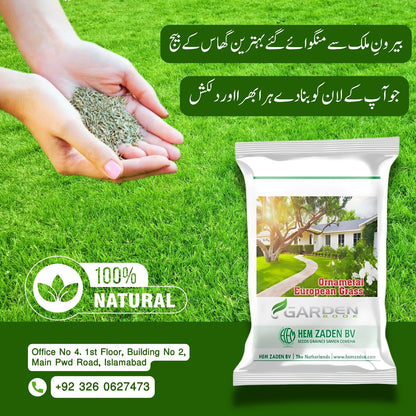 Imported European All Season Grass Seeds