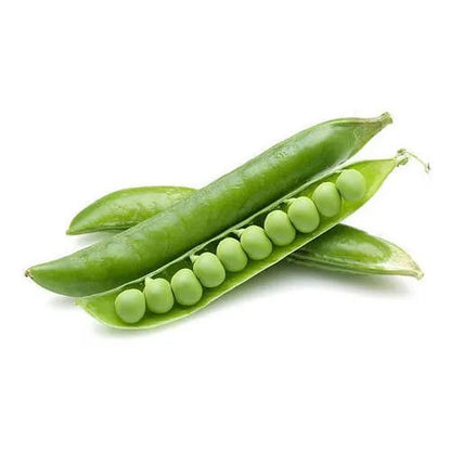 Green Peas 40+ Seeds