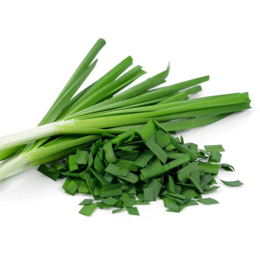 Garlic Chives 30+ Seeds