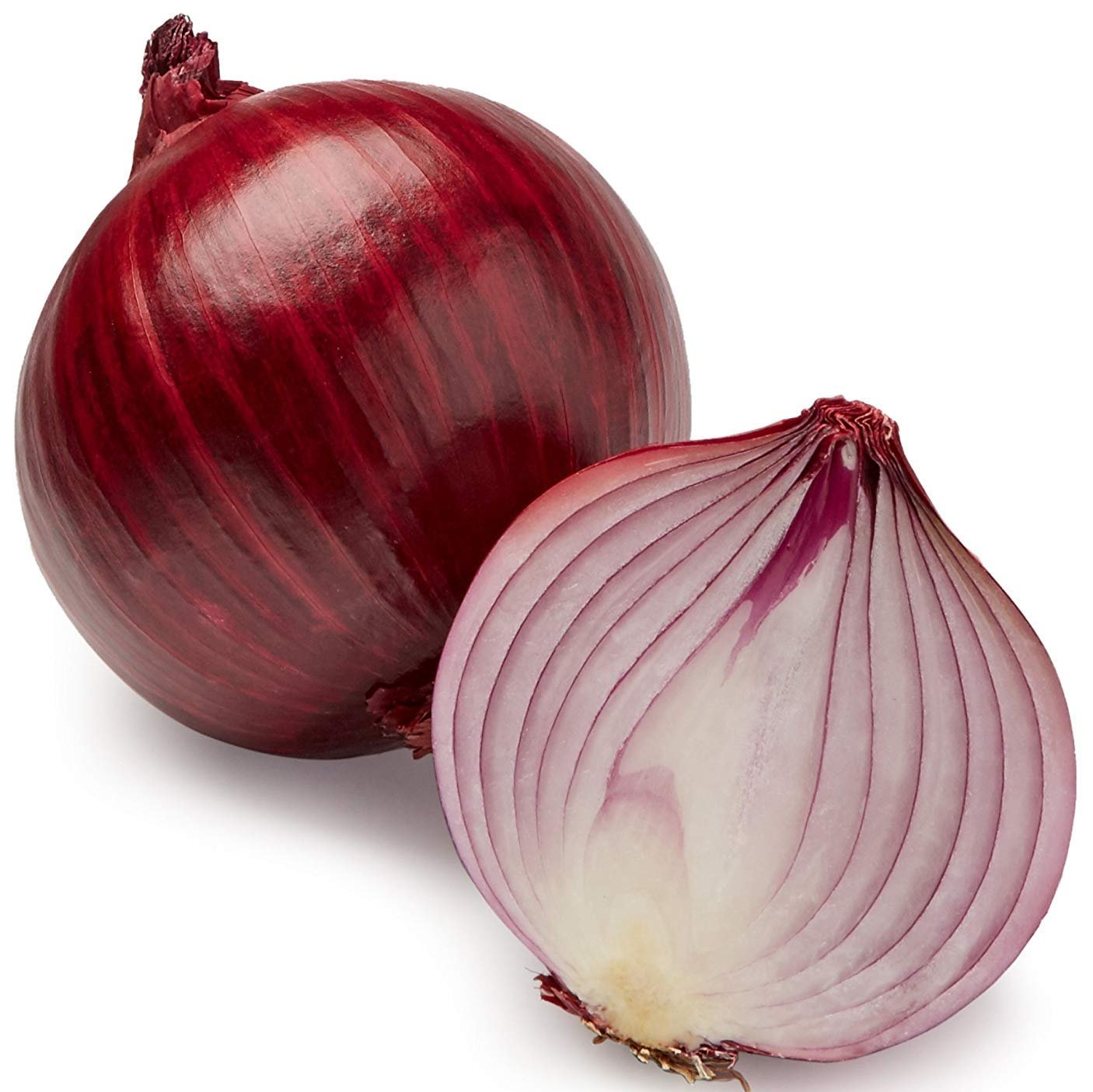 Desi Onion 100+ Seeds
