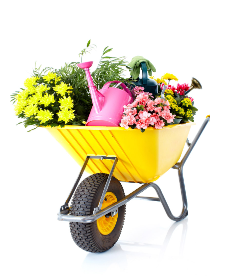 flowers cart for garden
