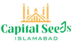 The Capital Seeds
