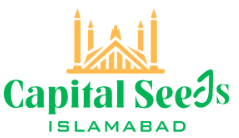 The Capital Seeds